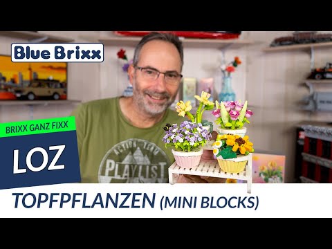 Topfpflanze (mini blocks)