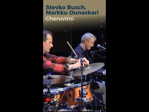Stevko Busch, Markku Ounaskari - Cheruvimi #shorts