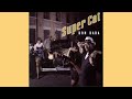 Super Cat ~ Don't Test