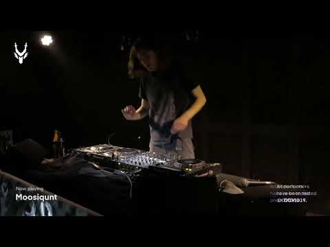 Moosiqunt - 5 Years of Shenron Celebratory Stream - 8/5/21