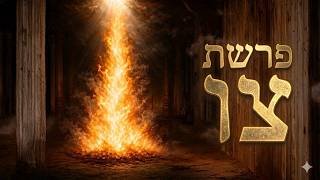 צו (שבת הגדול) | צווי לנתינה ללא תמורה