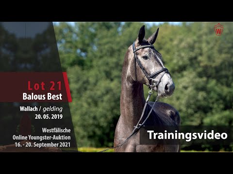 35.Westf.Online-Auktion 2nd Chance – Training Lot 13 Balous Best v. Balous Bellini/Cornet Obolensky