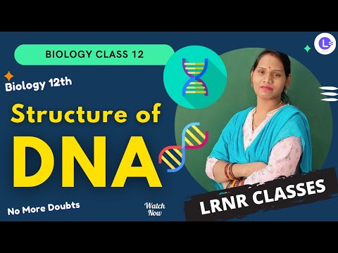 Structure of DNA | Watson and Crick Model | Double Helical Model | Biology Class 12 | LRNR Classes