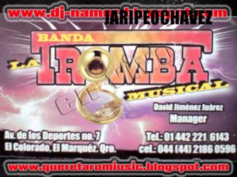 Mix De Sones Vol. 1: Banda La Tromba Musical - Desde El Tejocote Tx, QRO - 2011 [En Vivo]