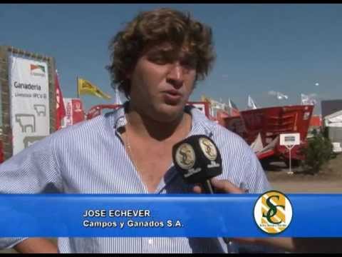 Jose Etchever - Campos y Ganados