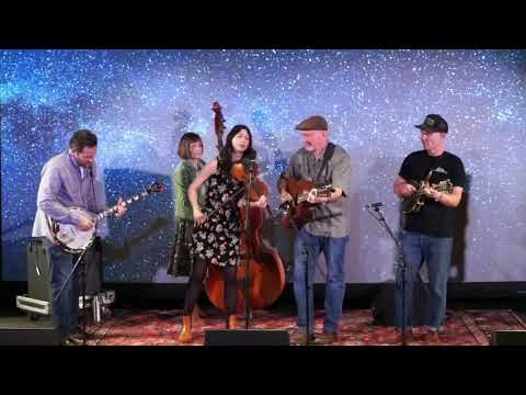 Whiskey Deaf Bluegrass Band - early set Wintergrass 2024