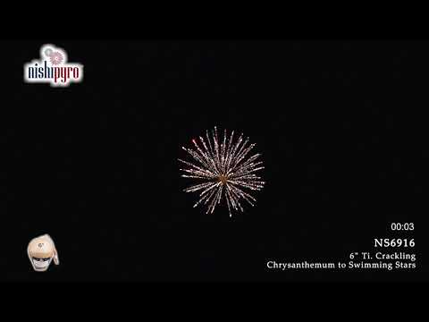 NS6916 - Swimming Chrys.