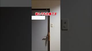 自分の長さを把握しましょ