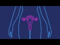 How Effective is the Birth Control Shot | Planned Parenthood Video