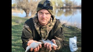 Рыбалка на нижней волге в июле 2020 форум