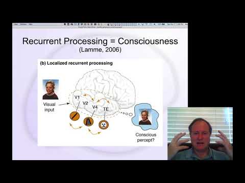 YouTube video about: What are the computational correlates of consciousness?