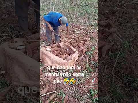 Anos atrás em Planaltina Do Paraná
