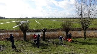 preview picture of video 'Wilgen knotten 1 - Hoekschewaards Landschap / s'Gravendeel 2014'