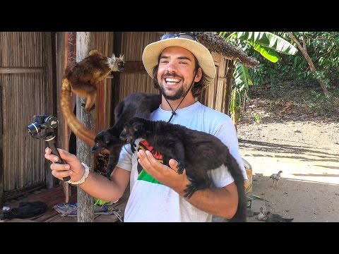 Lemur Madness! Sailing through Madagascar- Sailing SV Delos Ep. 98