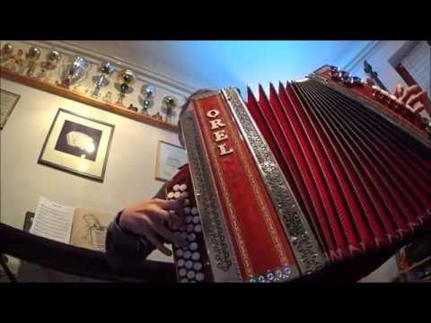 Budapest by George Ezra - Jakob Turk (Diatonic Accordion)