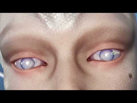 Anfisa Letyago - Feelin'