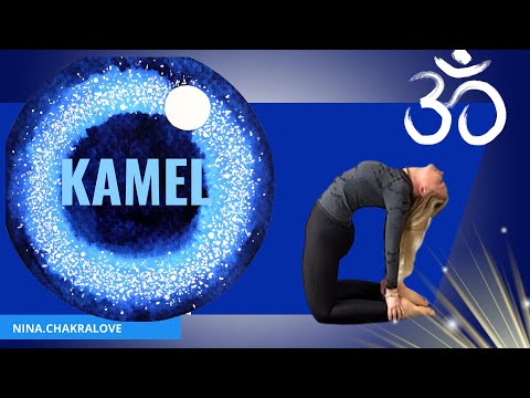 YOGA - KAMEL - USTRASANA // hilft bei einer Bronchitis oder Asthma