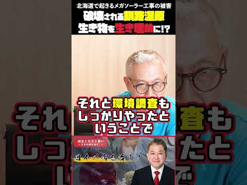 現代経済学科 破壊される釧路湿原 生き物を生き埋めにする非道！北海道で起きるメガソーラー工事の被害 #小野寺まさる #平井宏治 #メガソーラー #釧路湿原