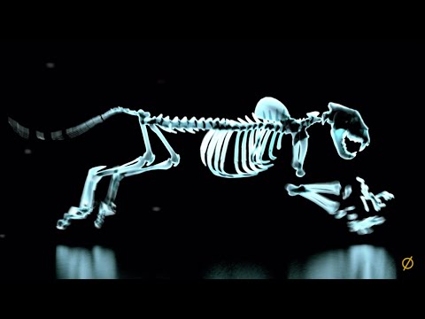 Video thumbnail for Bite Back