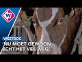 Hoe ziet de toekomst van het platteland eruit?