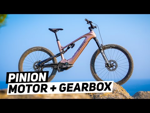 No Chain, No Derailleur – Just a Belt Drive and Gearbox