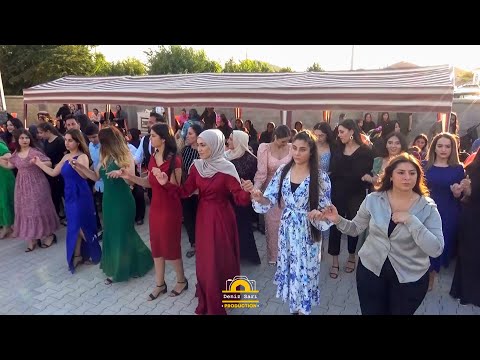 Beyaz & Furkan Düğün Töreni - Naco Serhad ''Govend 2022'' | Acıkuyu Part-1