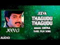 Thagudu Thagudu Song | Jeeva Tamil Movie Songs | Satyaraj, Amala | K S Chitra | Gangai Amaran