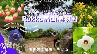 【六甲】高山植物園へ　天狗岩南尾根で登って五助山経由で降りてきた