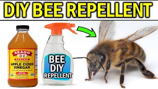 HOW TO GET RID OF BEE