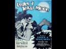Seger Ellis & Eddie Lang - Under a Texas Moon, 1931