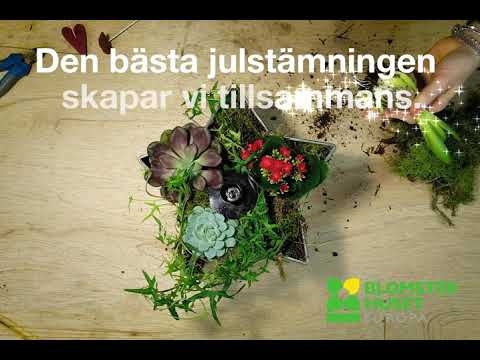 Skapa en egen julgrupp