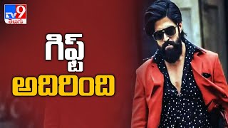 ‘KGF Chapter 2’ teaser to be released on January 8, Yash’s birthday