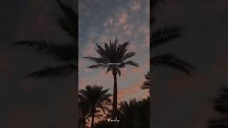 Download lagu Story wa keren | Story wa pemandangan di sore hari mp3 Download lagu Story wa keren | Story wa pemandangan di sore hari mp3