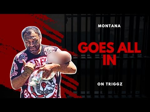 Montana setzt voll auf Triggz