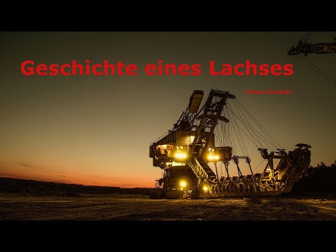 Geschichte eines Lachses/ История одного колымского лосося  Text: Tatiana Ilchenko