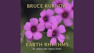 Stars Over the Canyon