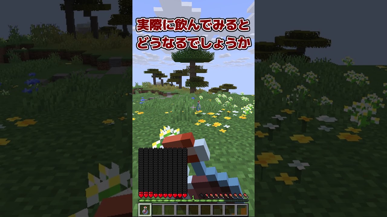 負傷のポーションレベル29はどうなる...?