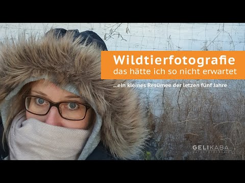 5 Jahre Wildtierfotografie - das hätte ich so nicht erwartet. Ein kleines Resümee