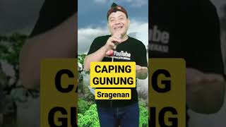 Download lagu Caping Gunung #ambyar #sragenan #campursari #capinggunung #adella #fyp mp3