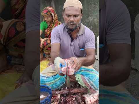 Kalibus Fish Fast Cutting Video#shortvideo