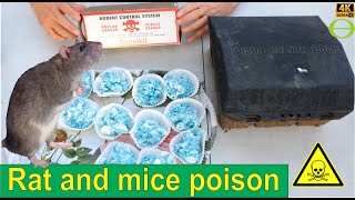 How to get rid of Norway Rats, roof rats, and house mice using a poison mix
