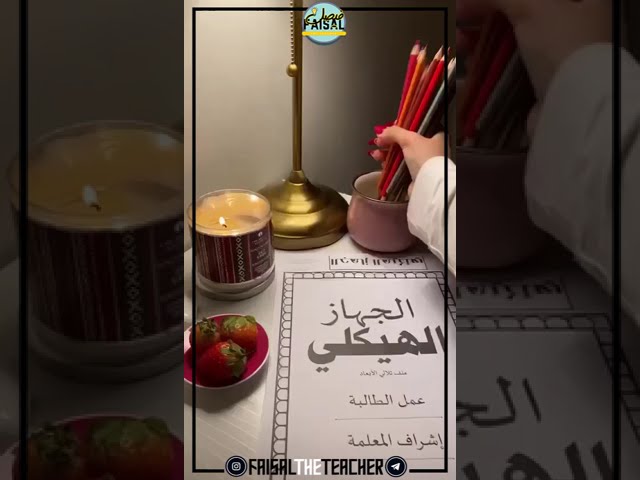 ملف الجهاز الهيكلي - ثلاثي الابعاد