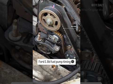 Getting ready to replace the fuel pump on this Ford Connect 1.8 diesel #dieselrepair