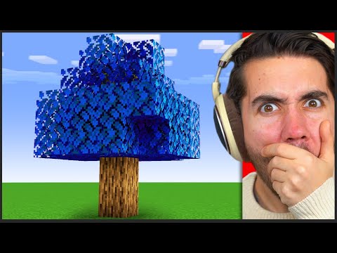 Testing VIRAL Minecraft Glitches to see if they work...