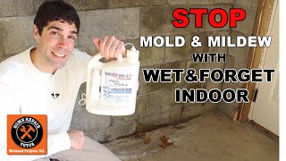 Wet &amp; Forget Indoor: Discover a New Way to Stop Mold &amp; Mildew -- by Home Repair Tutor