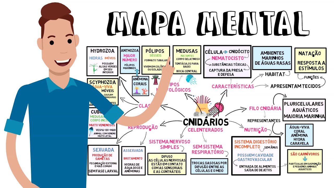 MAPA MENTAL - Cnidários
