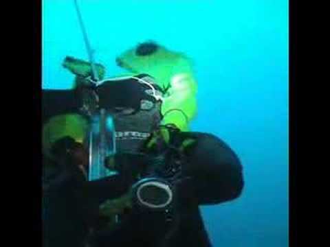 Herbert Nitsch World Record 183m