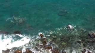 preview picture of video 'My Guadeloupe Island bayside cliff Full HD'