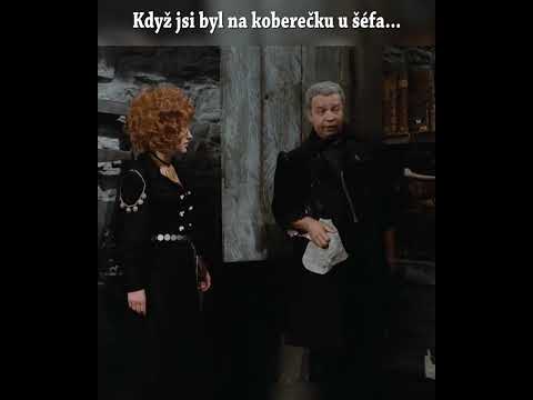 #shorts #divkanakosteti #saxana #prace #vedeni #koberecek #šéf #vedoucí #prasteny #memes #memescz