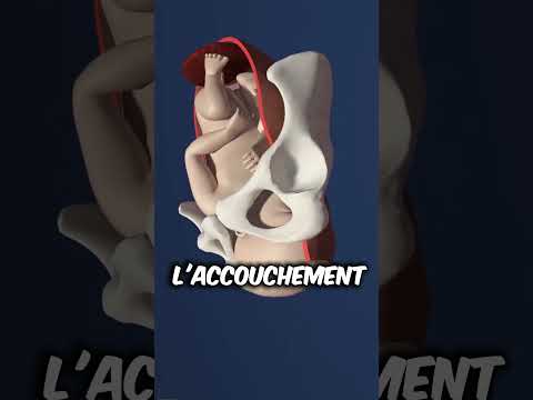 Ne fais jamais ça à un bébé